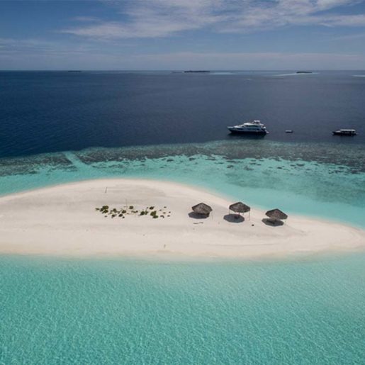 island - honors legacy 01